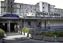 Formiche nel letto d’ospedale, la Regione vuole provvedimenti dall’Asl