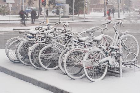 Maltempo: pioggia e neve su E-R, fiocchi cadono su Bologna