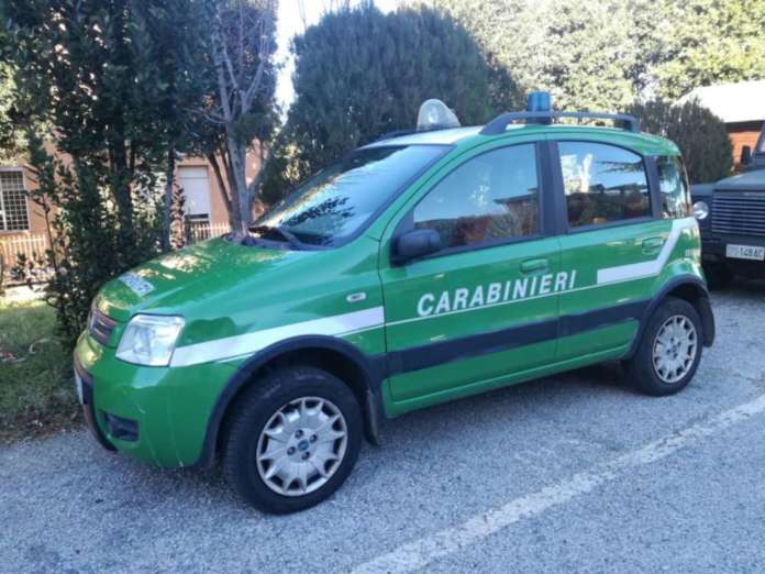 carabinieri forestale