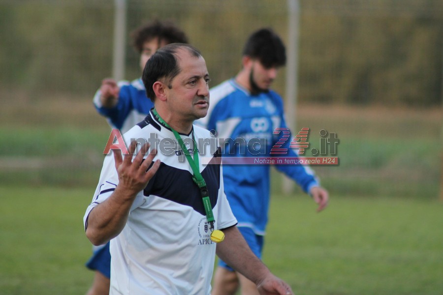 zullo apice