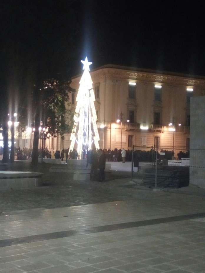 albero
