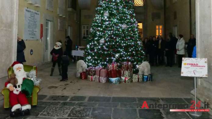 albero palazzo paolo v