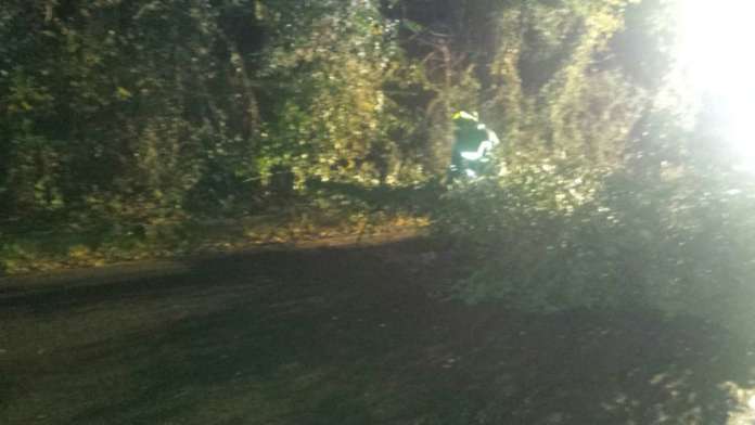 vento albero paupisi