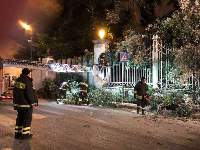 caserta albero 2
