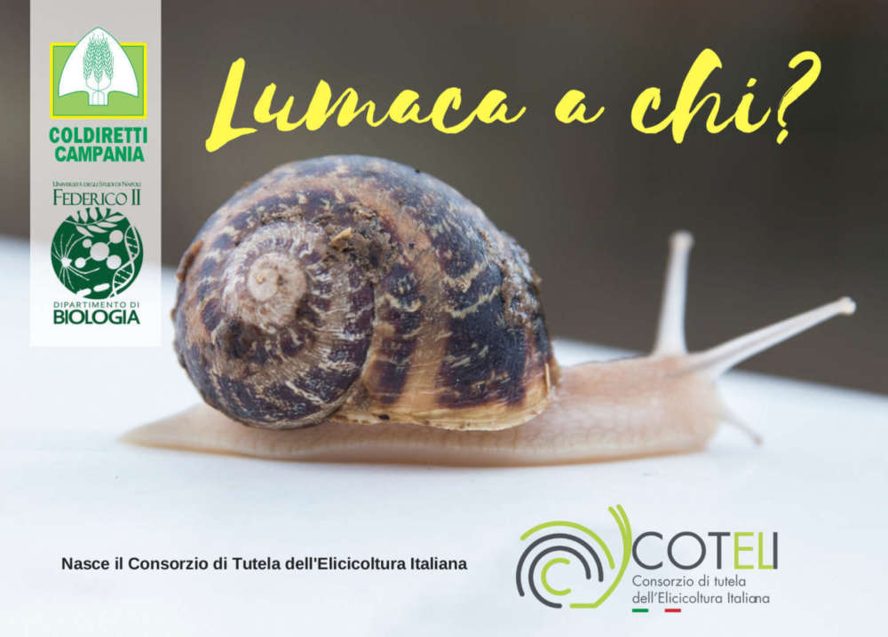 convegno nascita Consorzio Elicicoltura