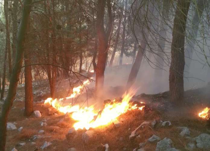 incendio montevergine