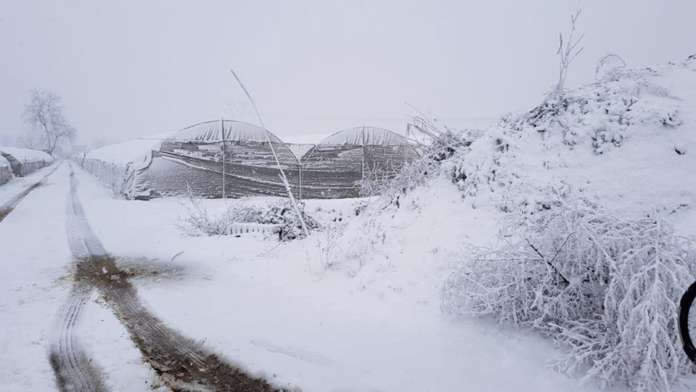 Campi innevati a Parete
