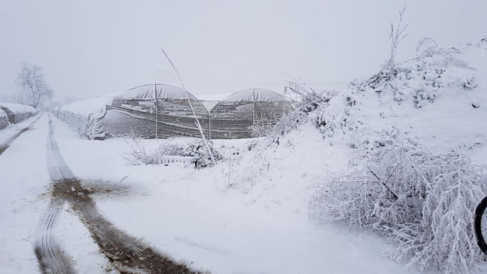 Campi innevati a Parete