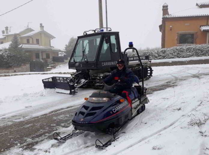 GATTO E MOTOSLITTA