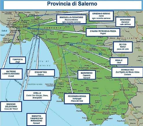 Salerno Camorra
