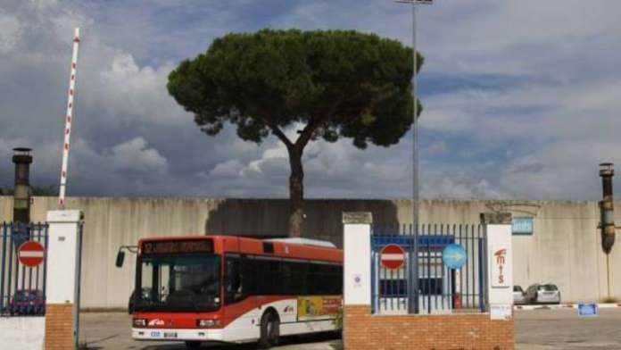 Trotta