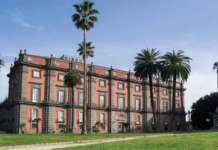 Mandarini e arance per i più bisognosi, il Museo Capodimonte dà il via al progetto “Nessuno escluso”