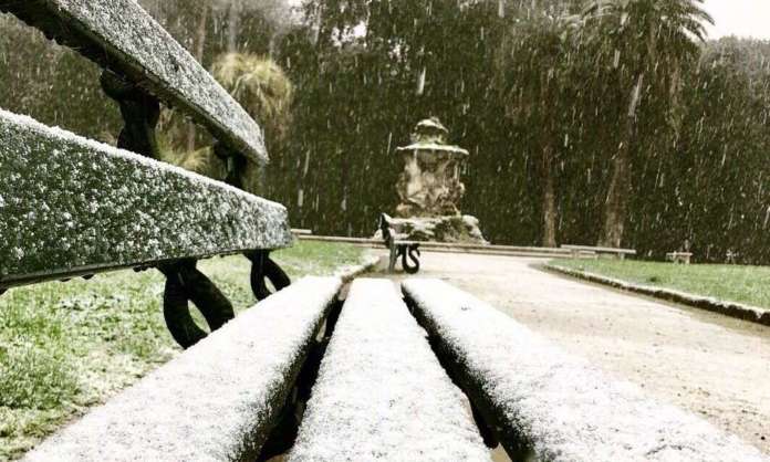 nevebosco