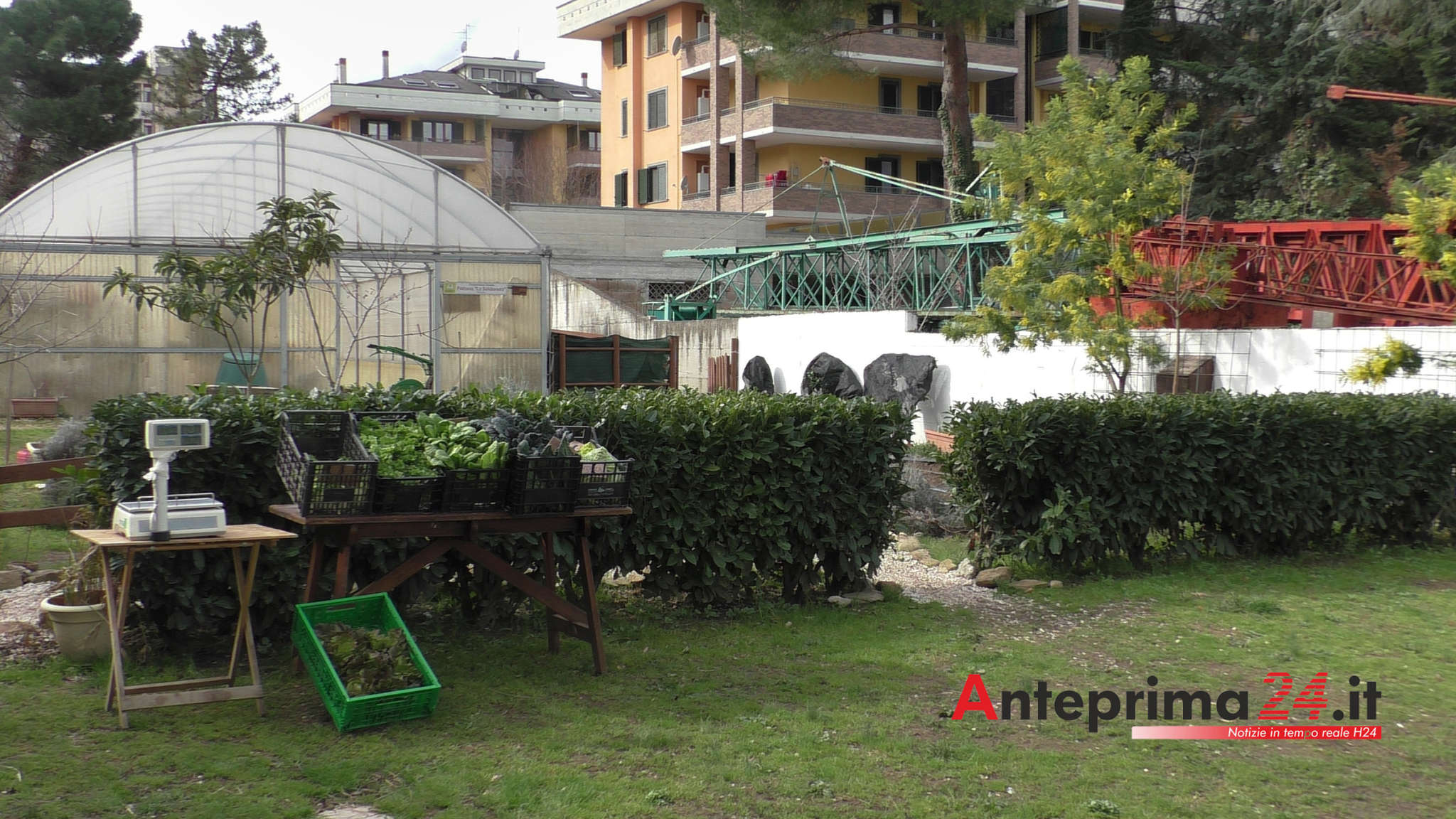 orto casa betania