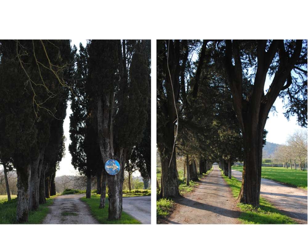 viali cimitero casola