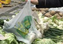 Plastica illegale, business ecomafie. L’azienda salernitana che la combatte