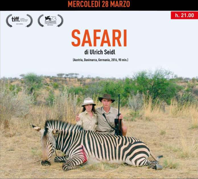 Mercoledì 28 marzo - Safari
