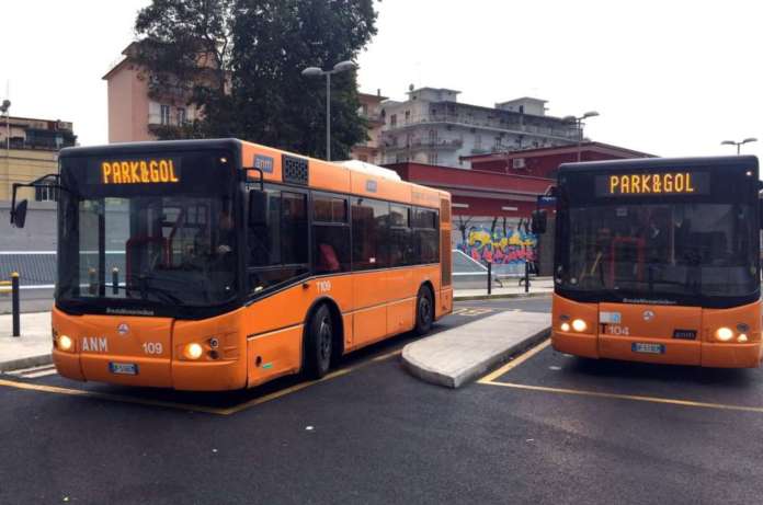bus
