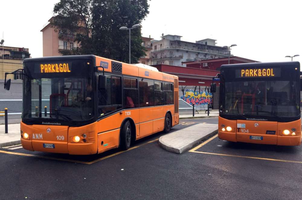 bus