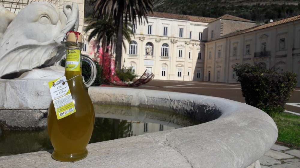 olio Belvedere San Leucio