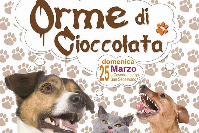 orme di cioccolata