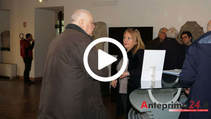 ricci museo