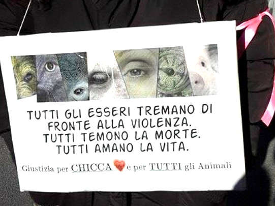 giustizia per chicca (5)