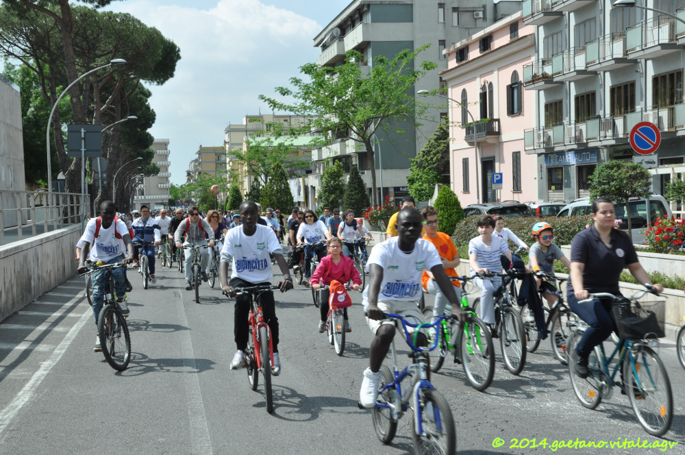 BICINCITTA