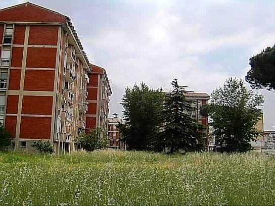 Iacp aversa