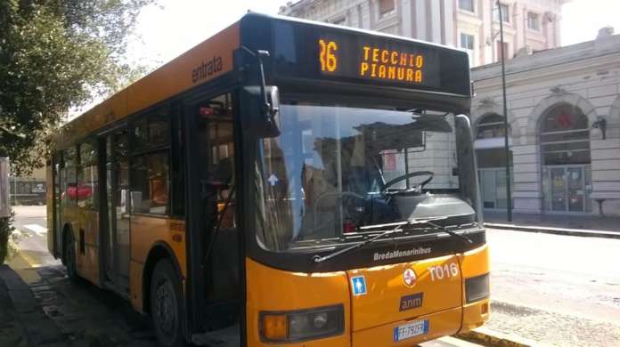 bus