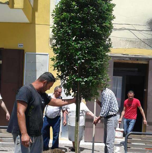 casal di principe vandali
