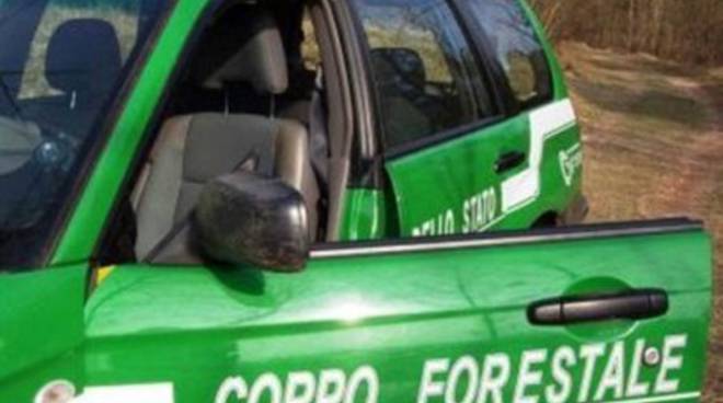 forestale-nuova-stazione-a-pereto-50734.660x368