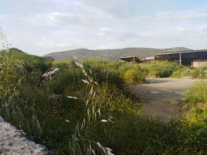 ilside degrado