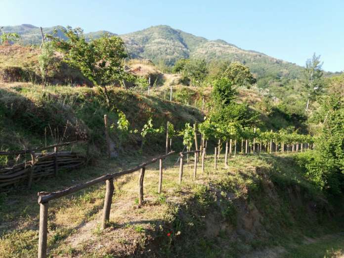 monte_somma (1)