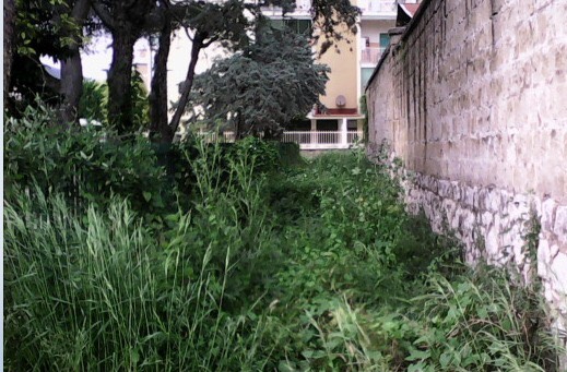 rione tescione 1