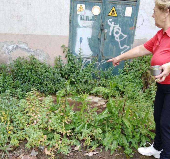 scuola bagnoli2