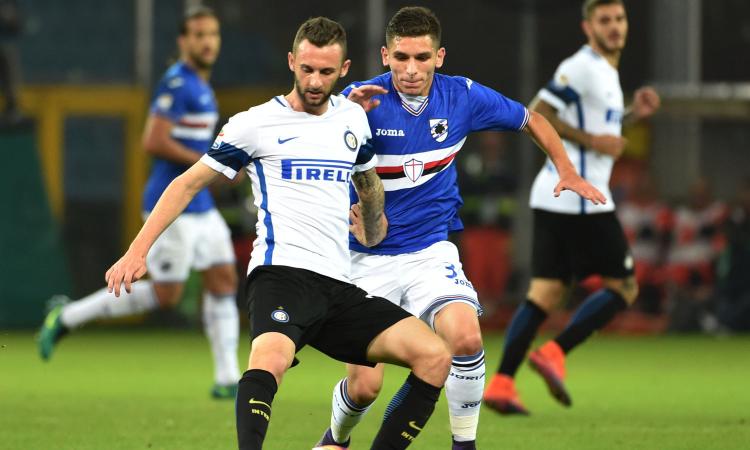 torreira
