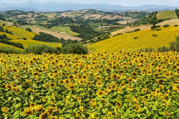 a piedi nel fortore