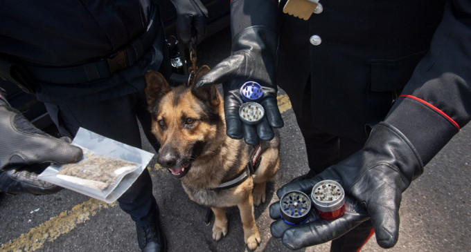 cane-antidroga-carabinieri