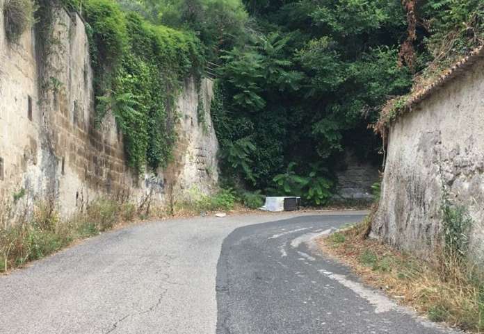frigo caserta 2