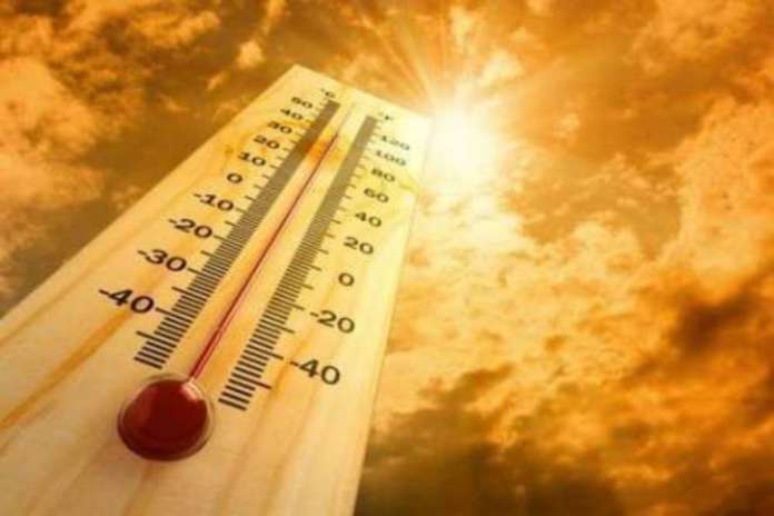 caldo afa