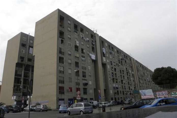 napoli bronx