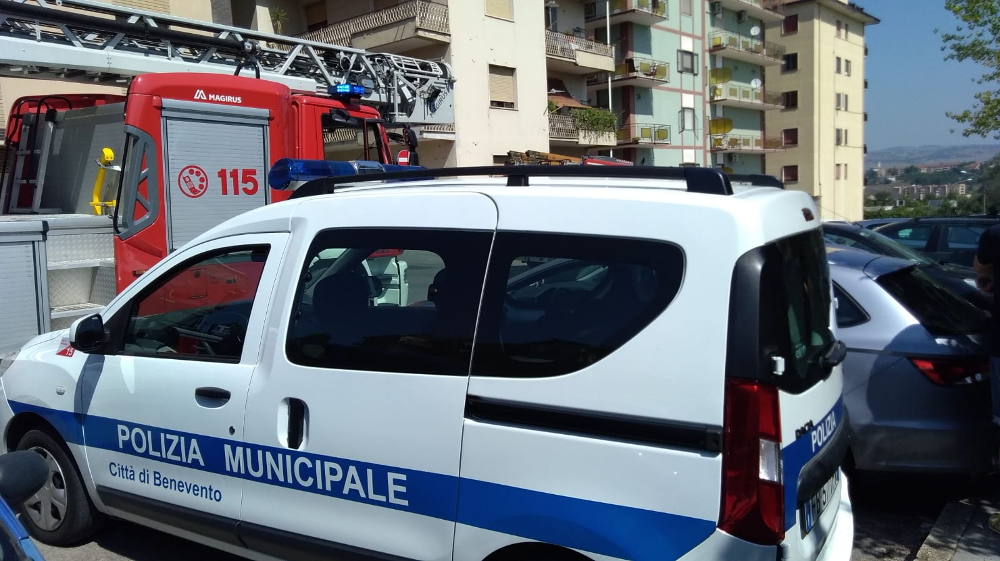 Alberi caduti Benevento 05