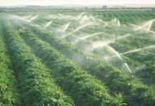 Consorzio Sannio Alifano, il primo maggio inizia la stagione irrigua 2020