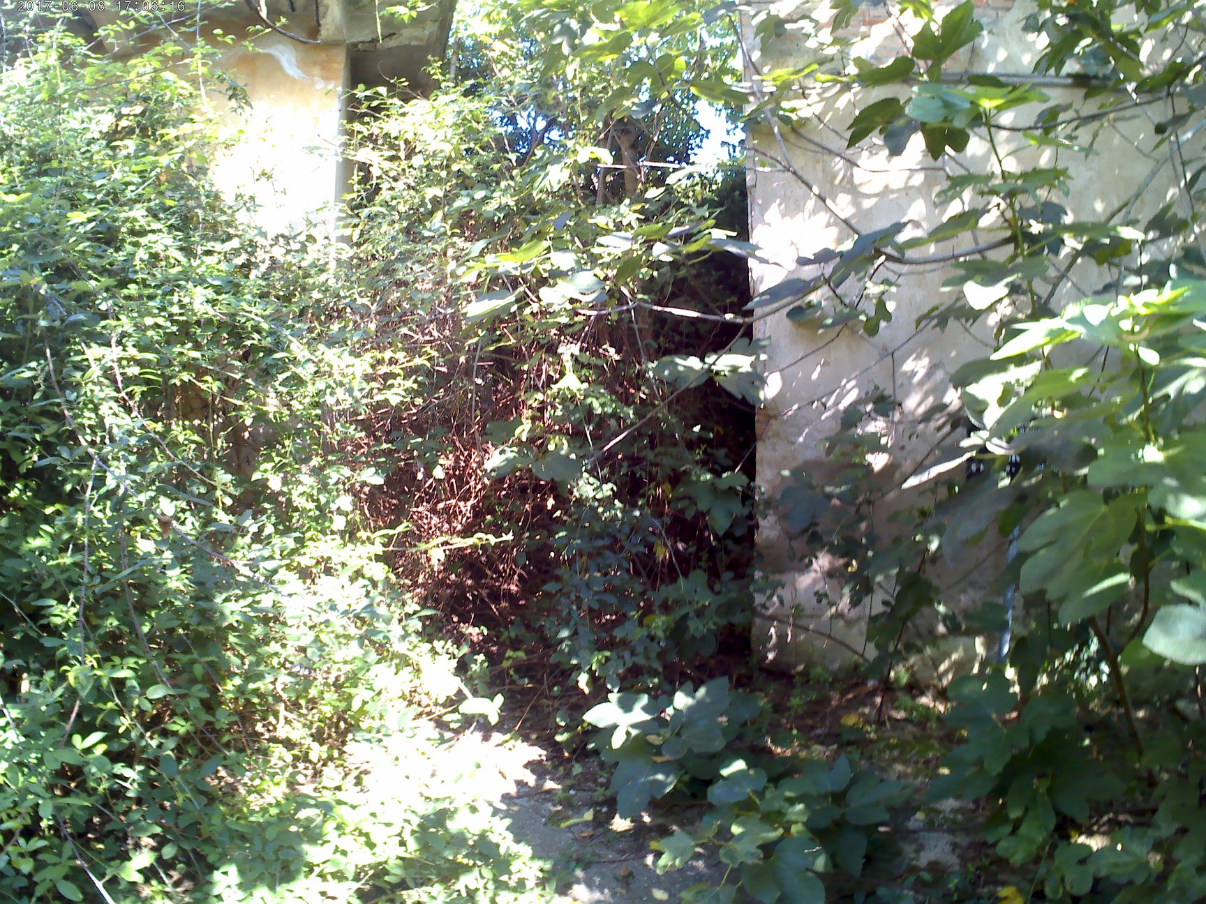 apice-14