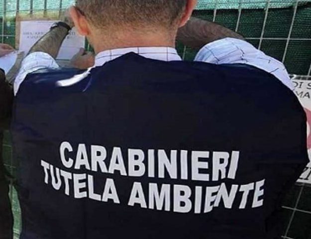 carabinieri noe abiente