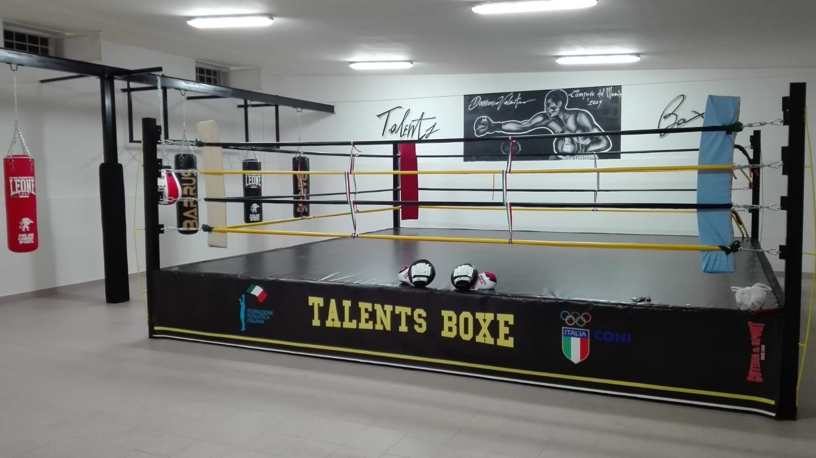 talent boxe