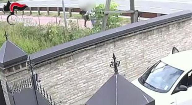 4029850_1359_modena_donna_uccisa_maniaco_seriale