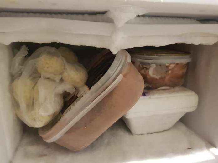 cibi congelati