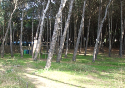 Pineta Capaccio Paestum